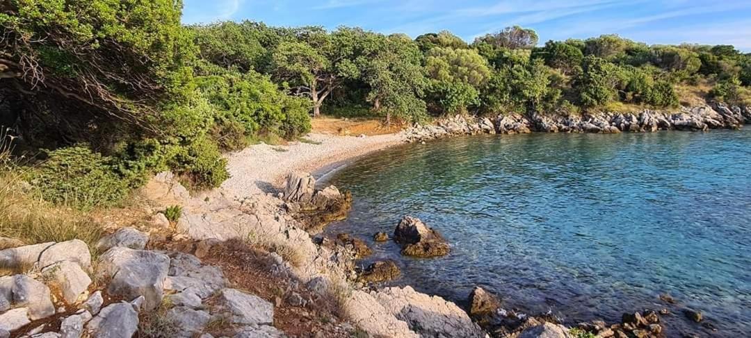Kuca Za Odmor Denona Borovići Exterior foto